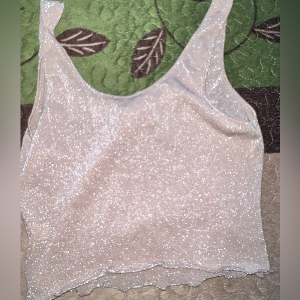 Glitter Mesh Crop Top